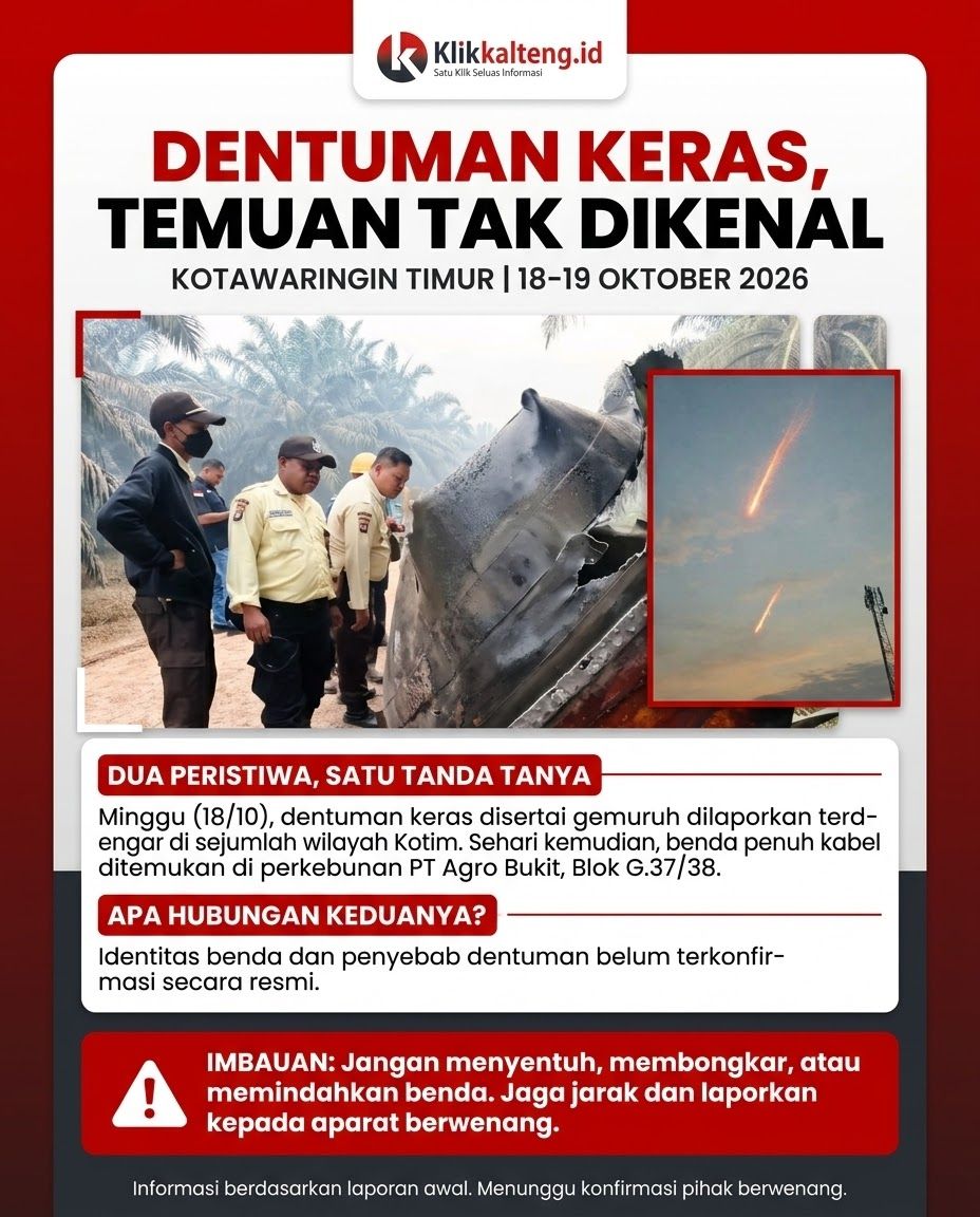 c64b8f169b79a56bf64f0a5a68971969Infografis.jpg